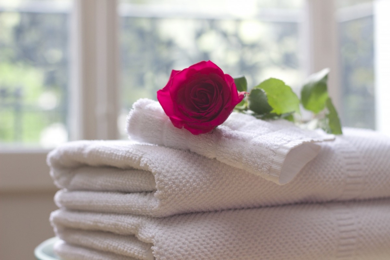 chambre-hote-LA FARLEDE-min_towel_rose_clean_care_salon_spa_white_bath-731641